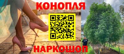 круглые Новодвинск