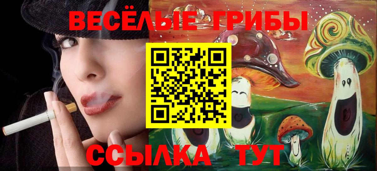 Галлюциногенные грибы мухоморы Чебаркуль